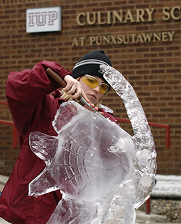 Academy of Culinary Arts Ice Sculpture 32105D90PF_260px.jpg